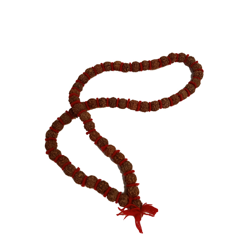 Rudrakshya Mala - 55 Beads
