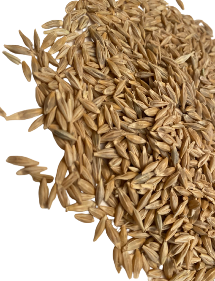 Jau (Barley Seed)